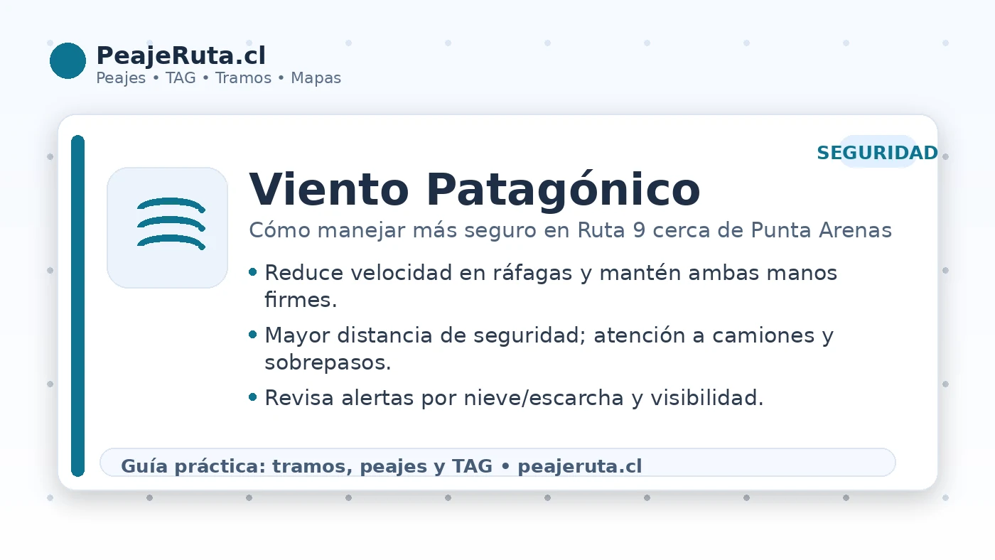 Viento patagónico en Ruta 9: consejos de conducción segura cerca de Punta Arenas