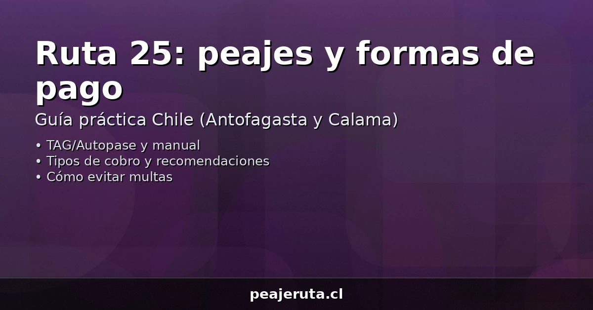 Peajes en Ruta 25: formas de pago con TAG o manual y recomendaciones para evitar multas (PeajeRuta.cl)